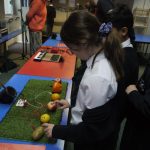 science fruit sound